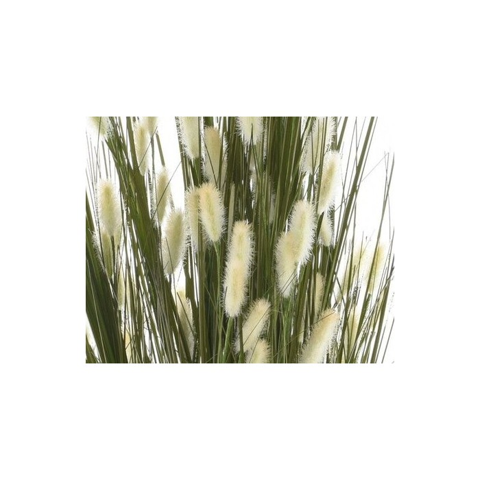 PIANTA PAMPAS WHITE H150